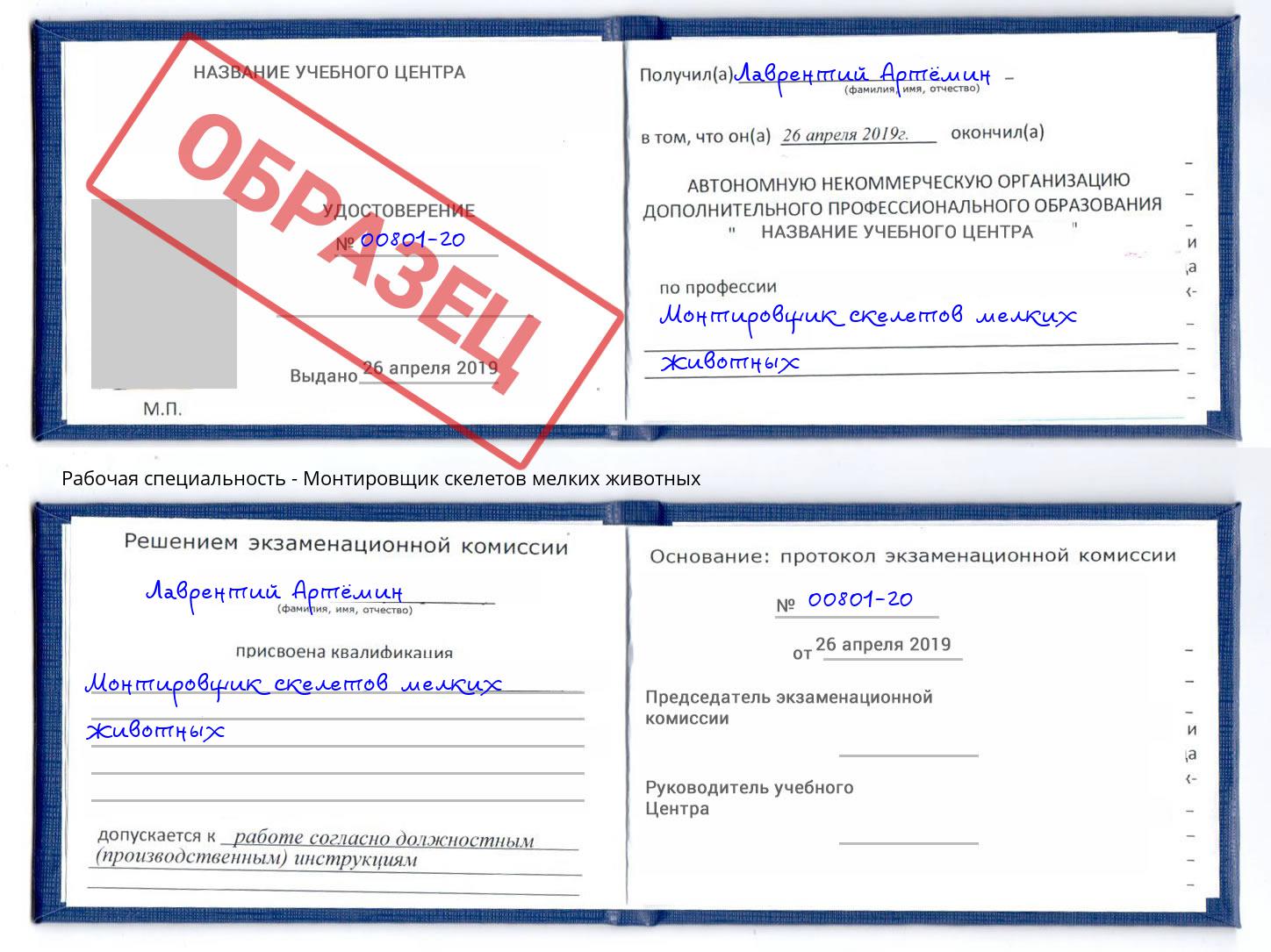 Монтировщик скелетов мелких животных Каменск-Уральский