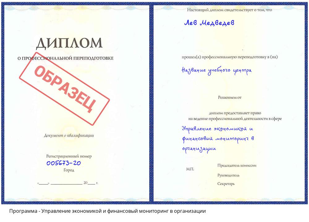 Управление экономикой и финансовый мониторинг в организации Каменск-Уральский